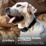 1757473323 ai health monitor gps tracker for dogs track heart rate pain anx.jpg