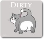 1757911274 gray funny cat clean dirty dishwasher magnet dishwasher magnet clean.jpg