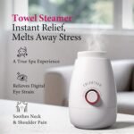 1758331611 colorfarm facial steamer nano ionic large 3 in 1 face steamer deep cl.jpg