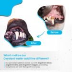 1758677571 oxydent premium pet dental care solution pet water additive mouthw.jpg
