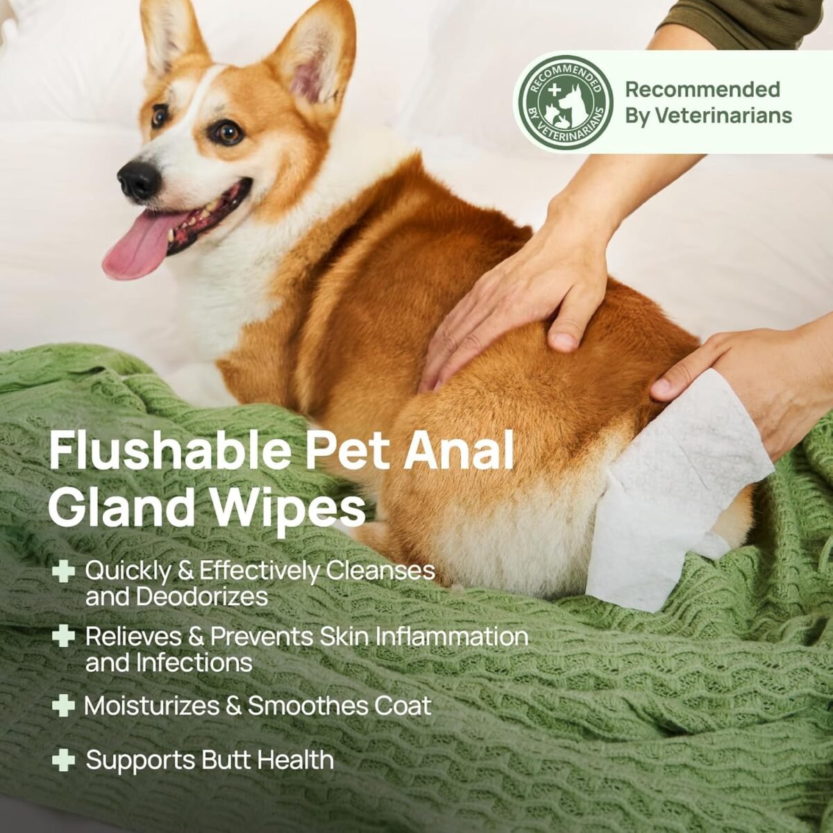 1759801815 hicc pet wipes for dogs cats vet recommended cleansing deodorizing.jpg