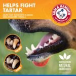 1759888263 arm hammer for pets dental water additive for dogs tartar control.jpg