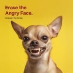 1759974744 doco dog teeth cleaning wipes dog tooth brushing kit remove plaque.jpg