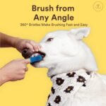 1760407249 jasper large dog toothbrush 360 degree pet tooth brushing kit cat to.jpg