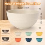 1762669707 12 pcs unbreakable cereal bowls set 26 oz wheat straw bowl sets micr.jpg